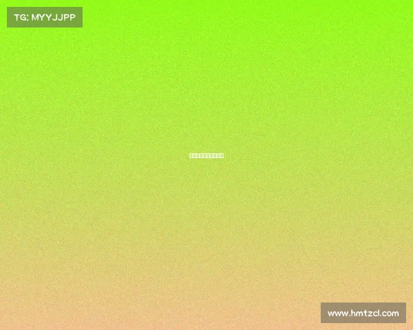 珠中江一体化最新规划